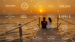 20款图案字幕标题MG动画婚礼MV视频包装新郎娘名字