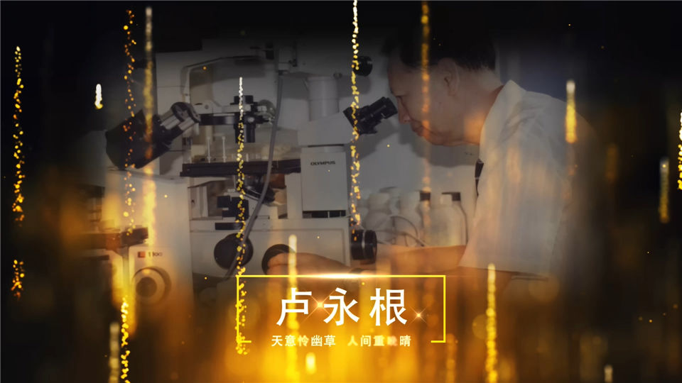 年度十大杰出影响力人物颁奖感动中国宣传视频开场片头_第2张图片_AE模板库